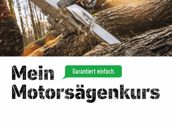 Profilbild_MeinMSK_1z1