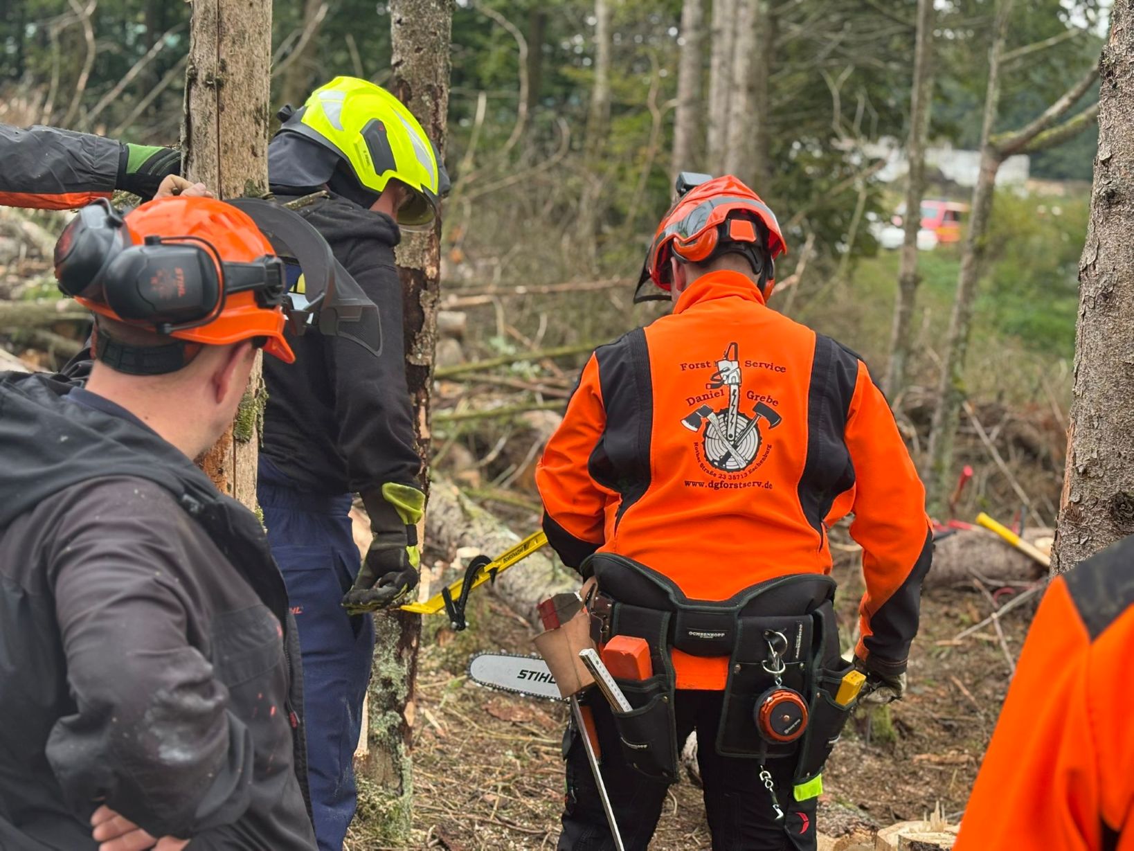 Motorsägen-Aufbaulehrgang (Modul B DGUV-I 214-059) in 35713 Eschenburg – Bild 3