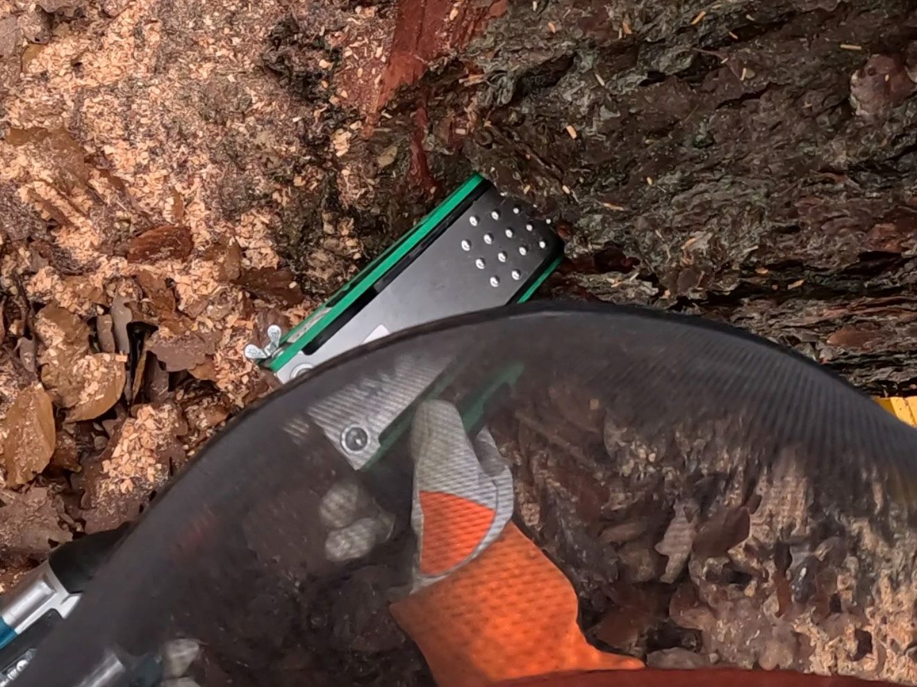 Motorsägen-Aufbaulehrgang (Modul B DGUV-I 214-059) in 35713 Eschenburg – Bild 4