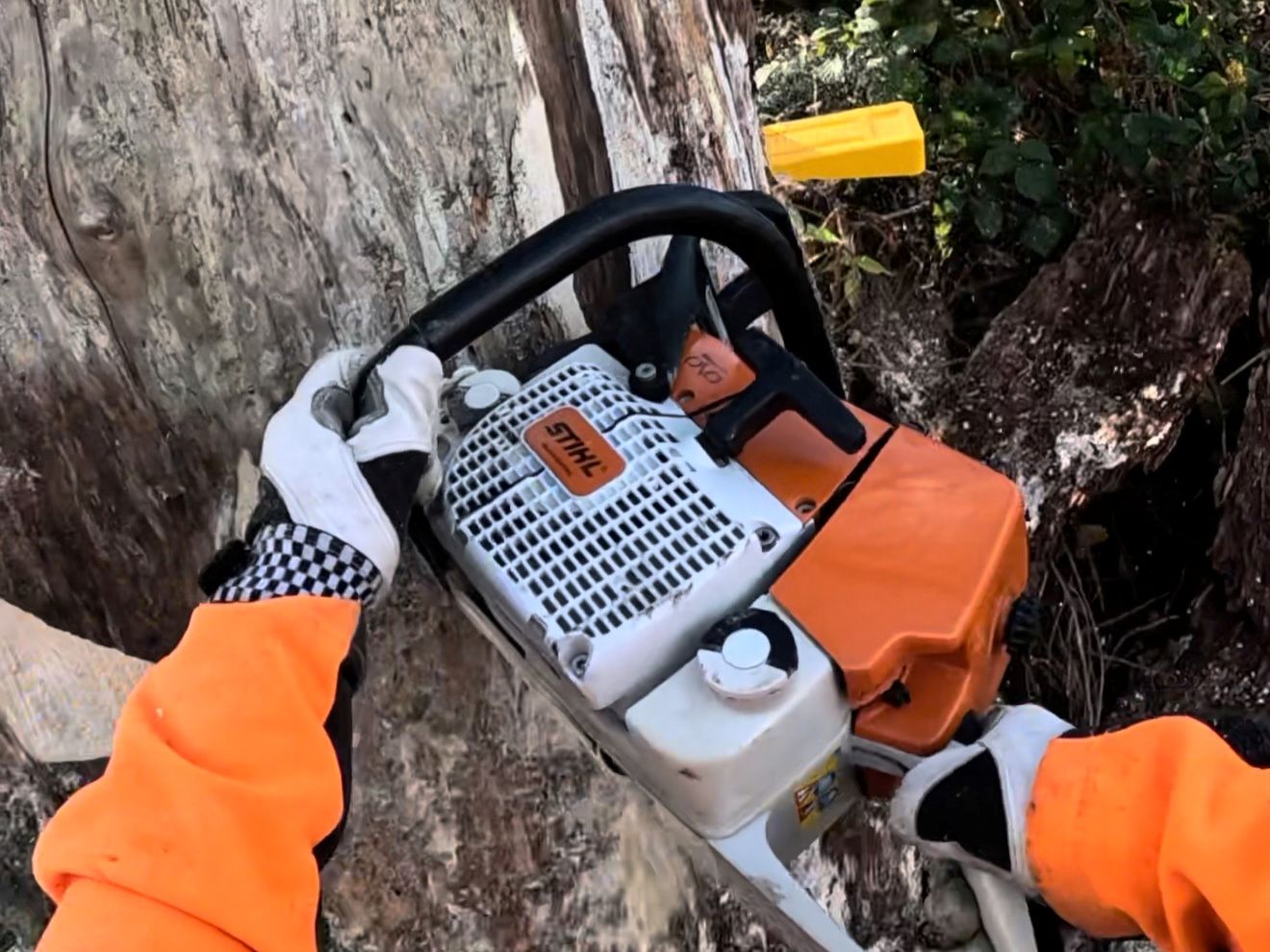 Motorsägen-Aufbaulehrgang (Modul B DGUV-I 214-059) in 35713 Eschenburg – Bild 2