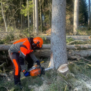 Motorsägen-Aufbaulehrgang (Modul B DGUV-I 214-059) in 72818 Trochtelfingen