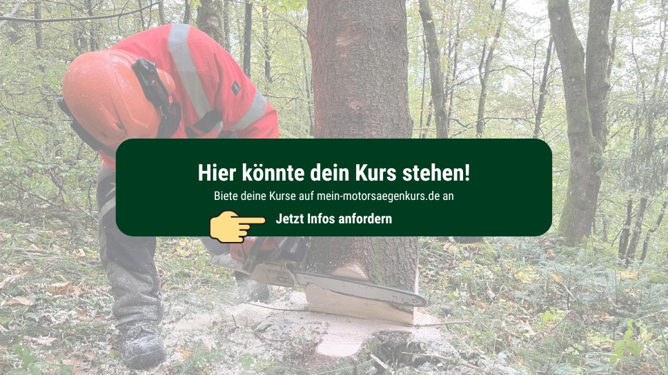 Test-Motorsägenkurs 100% Präsenz (Theorie u. Praxis vor Ort)